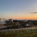 한동리브로콜리 이미지