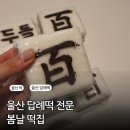 백설기 | 울산 백일떡 답례떡 추천 봄날떡집, 백설기 가격 맛 후기