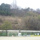 정곡초등학교 이미지