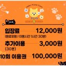 쿤 | [공지] 안산 고양이카페 추천, 귀여운 메인쿤들 완전 개냥이 애교냥이었던 후기, 쿤이네집