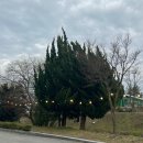 서천장어본가 이미지