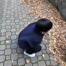 진일수산 | 8세 초1 키 몸무게 공부 계획 기록 정리 겨울방학 가볼곳