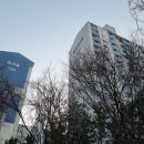 살구골공원 네이버블로그