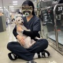 수의 | 수의테크니션 2년 근무 퇴사 현실 후기 장점 단점