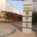 코아루 애견 이미지