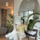 글래씨스(GLASSEAS) 이미지