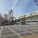 11590-나212-4 | [잠실야구장] 2026 시범경기 직관후기 (feat. 1루 테이블석 212블럭)