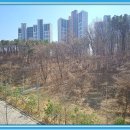 금강스마일공인중개사사무소 네이버블로그