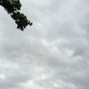 8월11일(화)22사단 고성날씨⛅️ 이미지