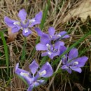 재효의료재단 이미지