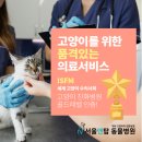 서울앤탑 동물병원 이미지