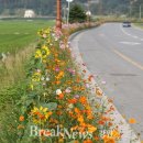 난설헌로 이미지