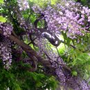 만물상회 이미지