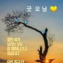 12월15일 화요일 출석부 좋아요 이미지