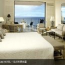 하와이스파레포츠 이미지