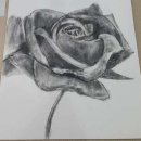 기초 서양화 이미지