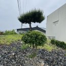 카페아낙466 이미지