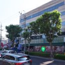 경상권투체육관 이미지