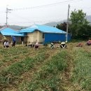 자매마을회관 이미지