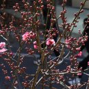 거창읍-25 이미지