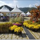 주무대 앞 이미지