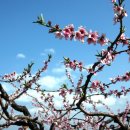 구렁농장 이미지