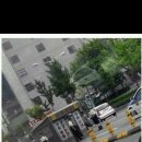 수선집 Daum카페