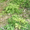 상태농장 이미지