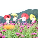 산소카폐 청송정원 (1) 이미지