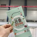 주말 아이와 가볼만한곳 추천! 2026 대한민국 곤충경진대회 생생 후기