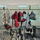 광신세탁 | [내돈내산] 목포 유모차 카시트 세탁 업체 소개, 후기