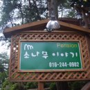 소나무이야기 펜션 이미지