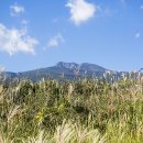 산록남로 이미지