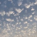 단이농장 이미지