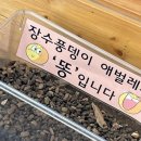 한밭뽑기방 이미지