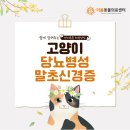 원주더봄동물의료센터 이미지