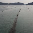 바다농장 이미지