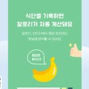 인아웃 티스토리