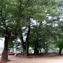 녹전중학교 이미지