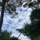 가람메드 | 강원도 여행 / 2박 3일 / 강릉 / 양양 / 낙산사 / 싱글핀에일웍스 / 서피비치 / 갤러리밥스 / 스카이...