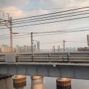 용산중학교 | 1월 서울나들이(오오미미 비추 후기)
