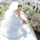 힐하우스 호텔 이미지