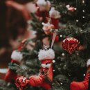 경희궁의봄한의원 이미지