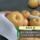 장터농장 이미지