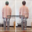 에코편백힐링센터