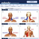 엑스바디 이미지