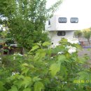 송우농장 이미지