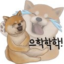 스시쿄다이 이미지