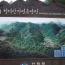 청태산 치유의 숲 이미지
