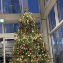 남송초밥 | 블챌 망했잖아요 젠장슨 그럼에도 끼려보는 A형 독감후기